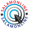 Salamonline FTP Server