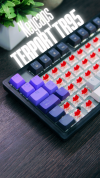 Keycaps | Terport TR95