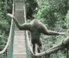 Monke market