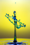 Drip/Mayudrops