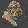 WEBSITE (under maintenance)