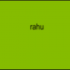 Get involved with RAHU's Committees