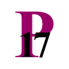 Principle 17