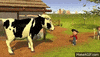 (p) Works at MKA Farms