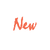 Catalogue 2025