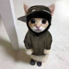 tatertot
