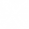 X Global