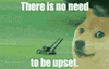 Doge unblocker