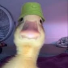 wafflehat