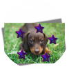 puppygames