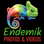 Endemik Photos Vidéos le site officiel