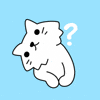 Ask Your Questions