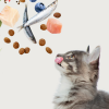 Recetas para gatitos gourmet