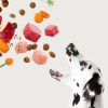Recetas para perritos gourmet