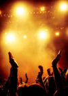 Concert Head