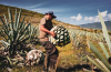 Spiked: A Celebration of Agave | South Coast Bontanic Garden | Palos Verdes Estates, CA