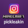 instagram pickleakin follow