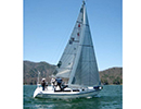 Catalina Sails