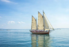 Sails for Sailboat