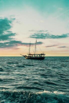 Buy Sails Online