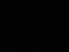 Notube