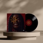 CLOSE TO THE SUN𖤓 VINYLs / CDs
