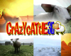 Crazy Cattle ;)