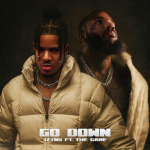Go Down ft The Game