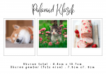 Polaroid Templates