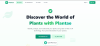 Plantae (My 2nd project)