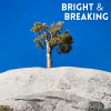 Bright & Breaking • Pop Indie Rock Discoveries