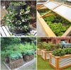 Become Self Sufficient on ¼ Acre