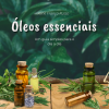 Guia dos Óleos Essenciais