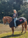 capa para cavalos proteção térmica | Suprema Agrozacca