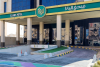 💚 صور من قلب مجموعة اليانا