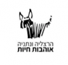 Shelter for dogs