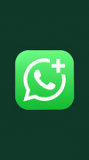 WhatsApp Business