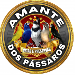Amante Dos Pássaros