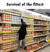 General Survival Tips & Strategies