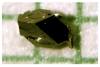 LABORATORIO NACIONAL AMES | Los científicos revelan el primer superconductor no convencional que se puede encontrar en forma mineral en la naturaleza | WEB