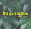 Scopri il progetto Plantasia - Parco sonoro