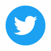 Alt twitter