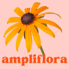 Learn more (visit ampliflora.com)