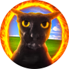 The Multiverse Of Cats (TikTok)