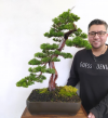 TikTok: @mau_bonsai