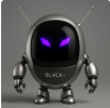 BLACK MAX TV