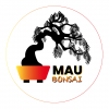 Página: Mau Bonsai