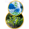 Systematix Conference Key Takeaways - Specialty & Agrochemicals