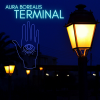 AURA BOREALIS - TERMINAL