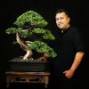 Manual Mau Bonsai